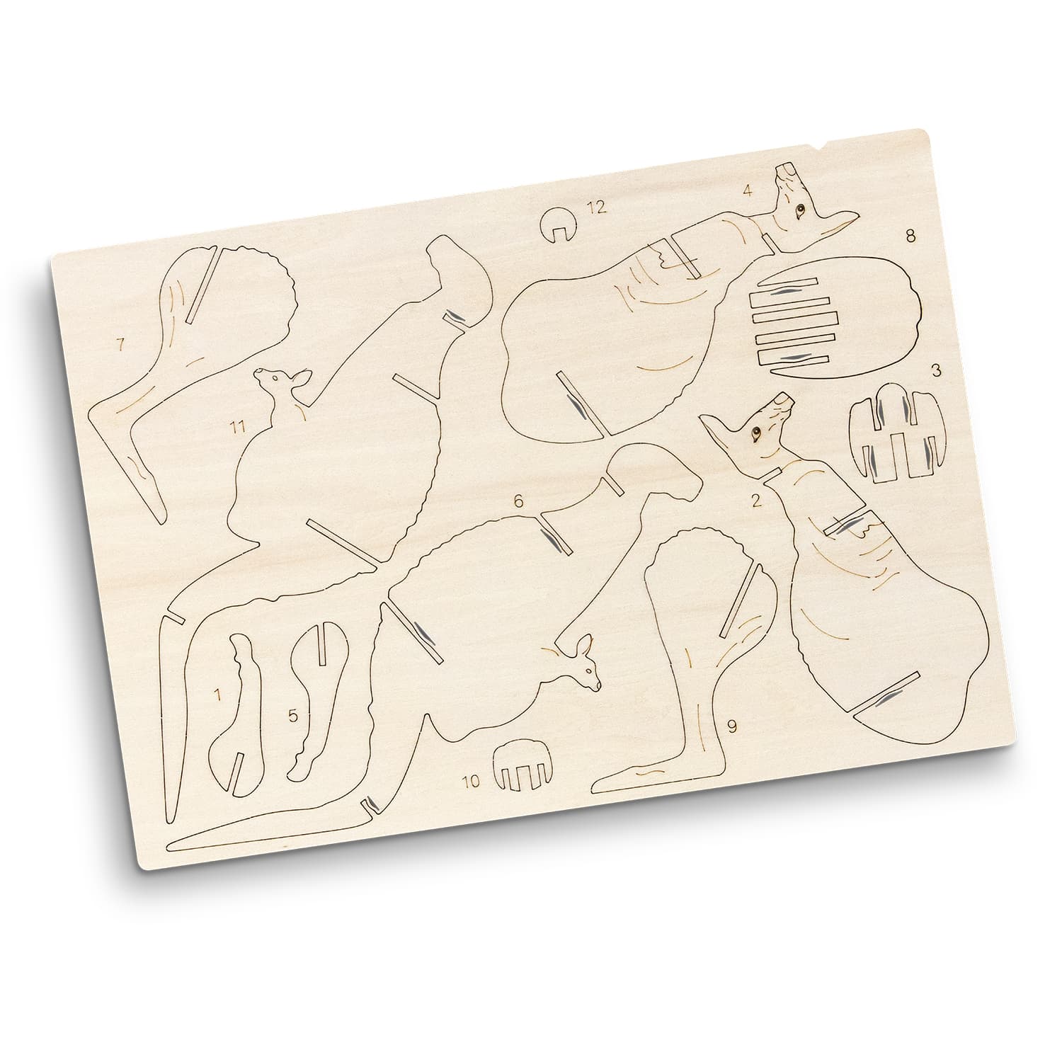 Flat Sheet