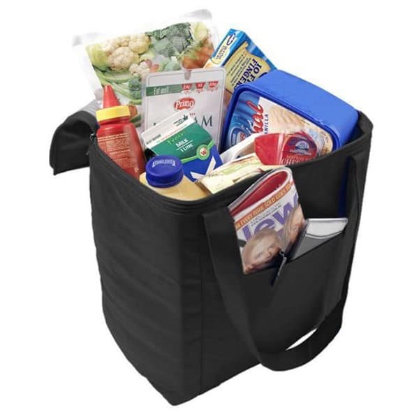 NON-WOVEN COOLER BAG